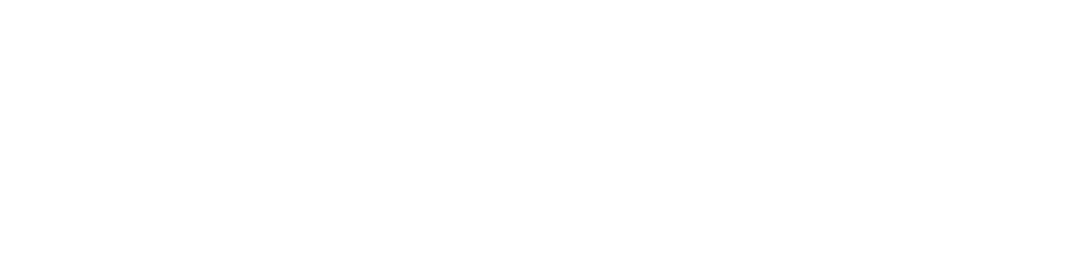 BRA-IVA